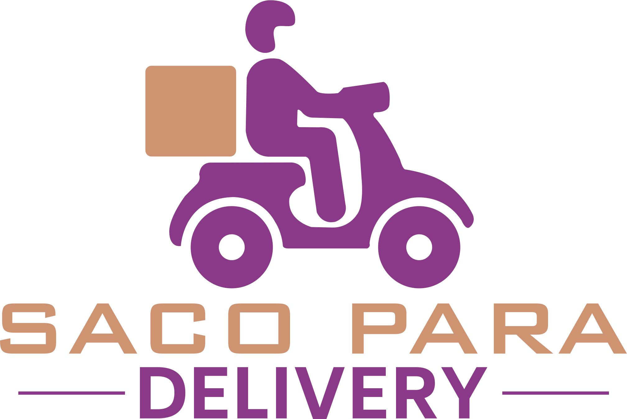 Seja um FRANQUEADO! Saco Para Delivery